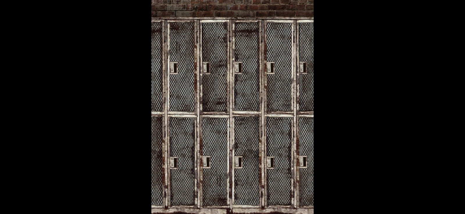 8×8 Denny Manufacturing Co. CPM7554 Gray Metal Lockers Freedom Cloth Backdrop