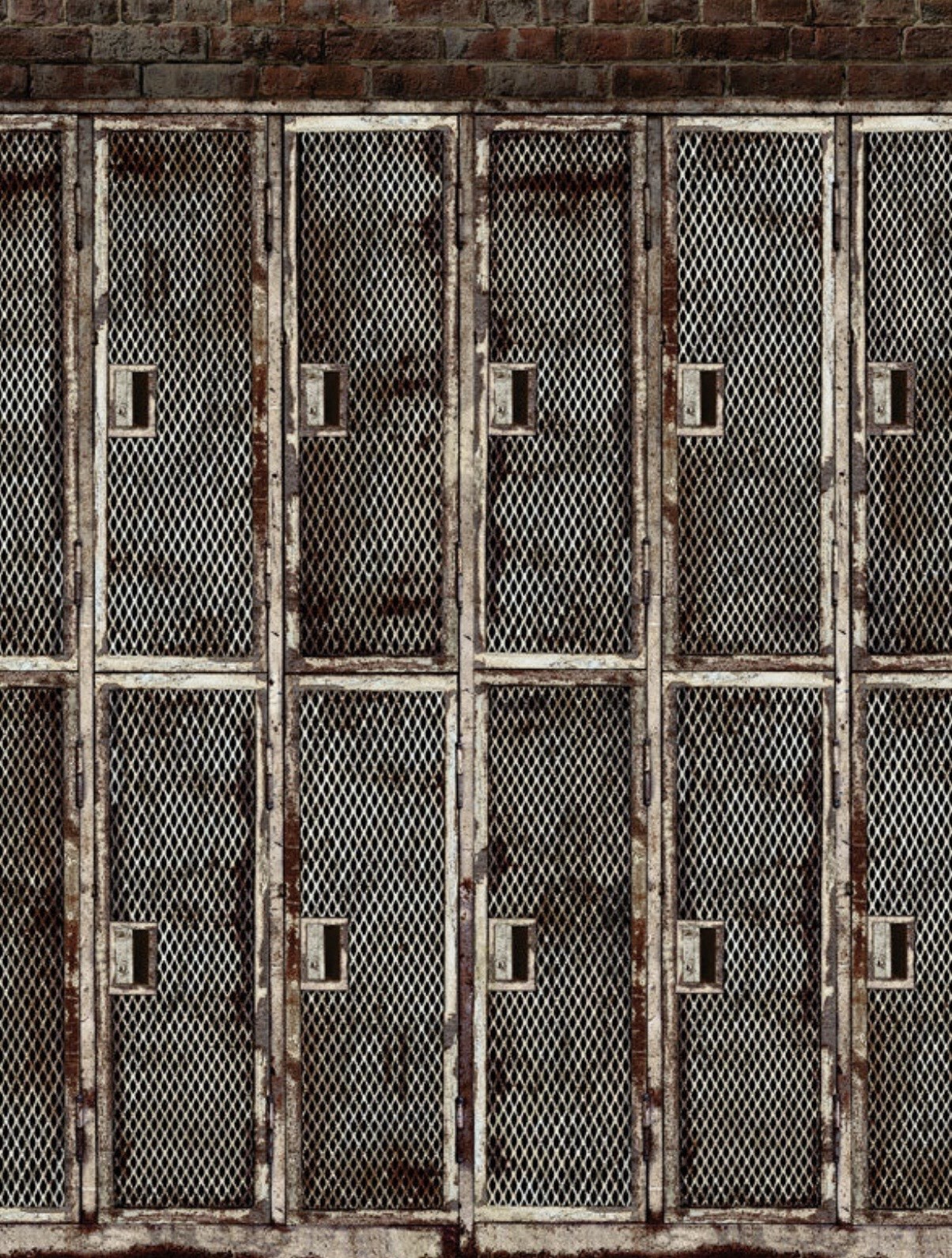 8×8 Denny Manufacturing Co. CPM7554 Gray Metal Lockers Freedom Cloth Backdrop