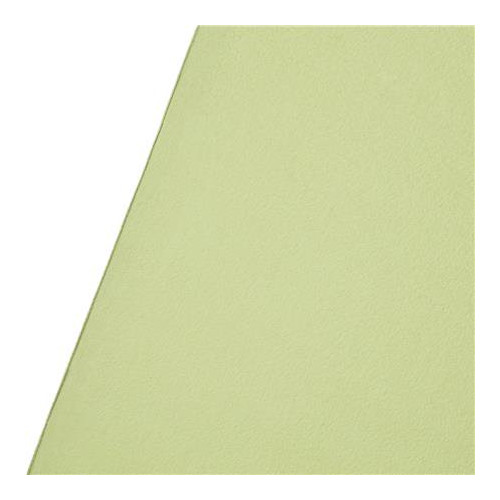 Westcott X Drop Wrinkle Resistant Backdrop 5 x 12 Feet (Light Moss Green)
