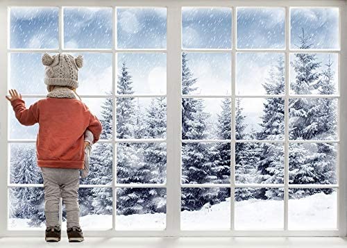 10×6.5ft Winter Forest Window Backdrop, Christmas Photography Props, Wonderland