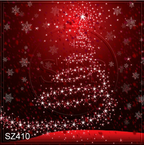 Christmas 10’x10′ Computer-painted Scenic Photo Background Backdrop SZ410B10