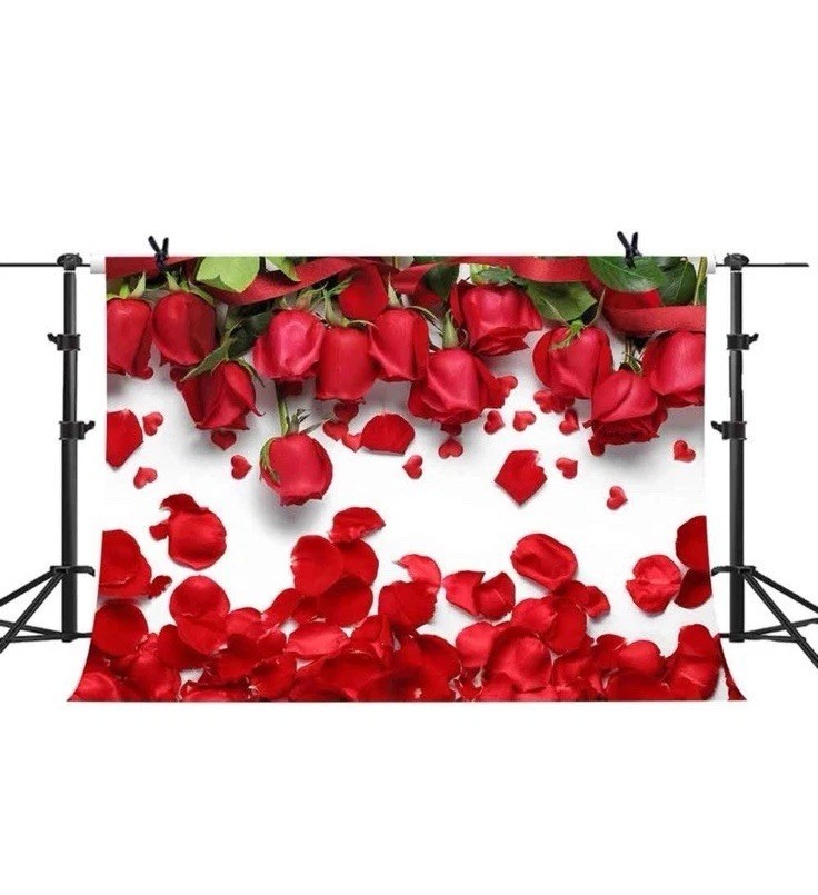 Roses Photo Backdrop 10x7ft Love Red Petals Background Valentines FAST SHIPPING