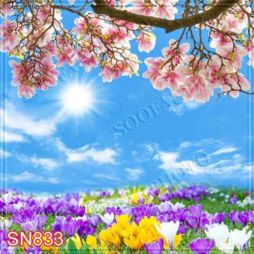 Easter Day 10’x10′ Computer-painted Season Scenic background backdrop SN833B881
