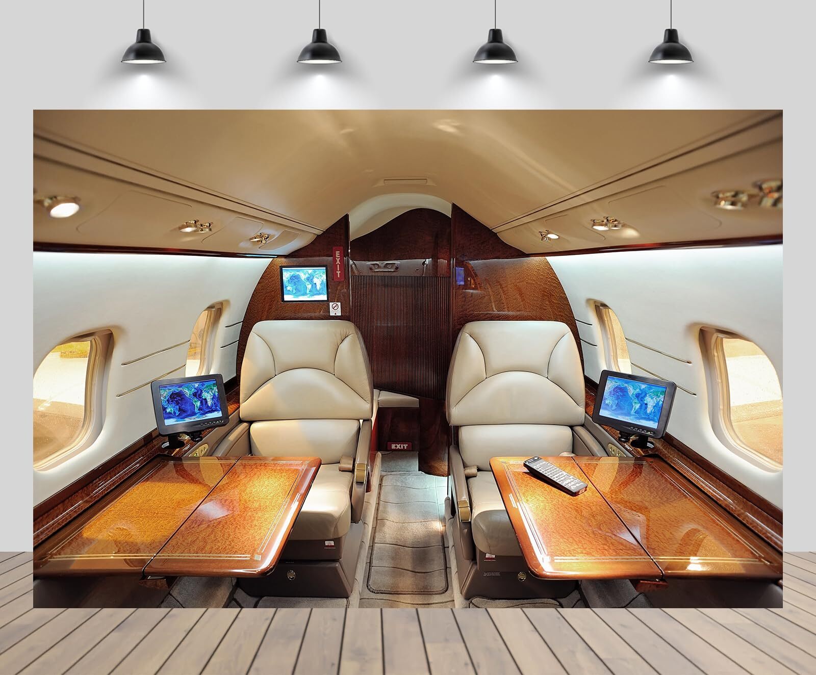 7ftx5ft Airplane Backdrop Airplane First-Class Cabin Interior Seats Photo Bac…