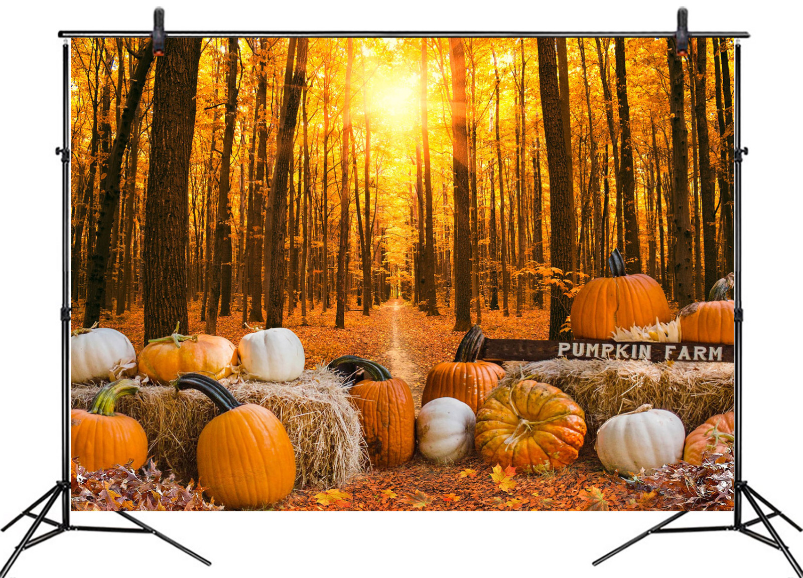 10x8ft Sunset Landscape Orange Pumpkin Fall ForestPhoto Background Studio Props
