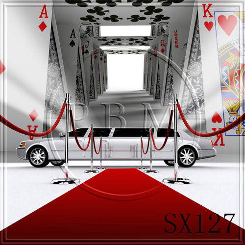 10’x10′ Computer-painted (CP) Scenic Photo Background Backdrop SX127B881