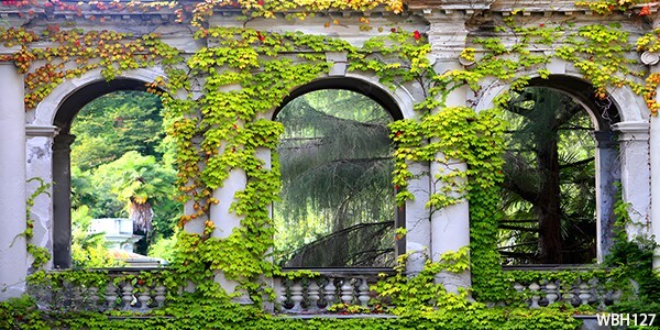 20’x10’CP Marble Arch leaves Scene Microfiber Fabric background backdrop WBH127