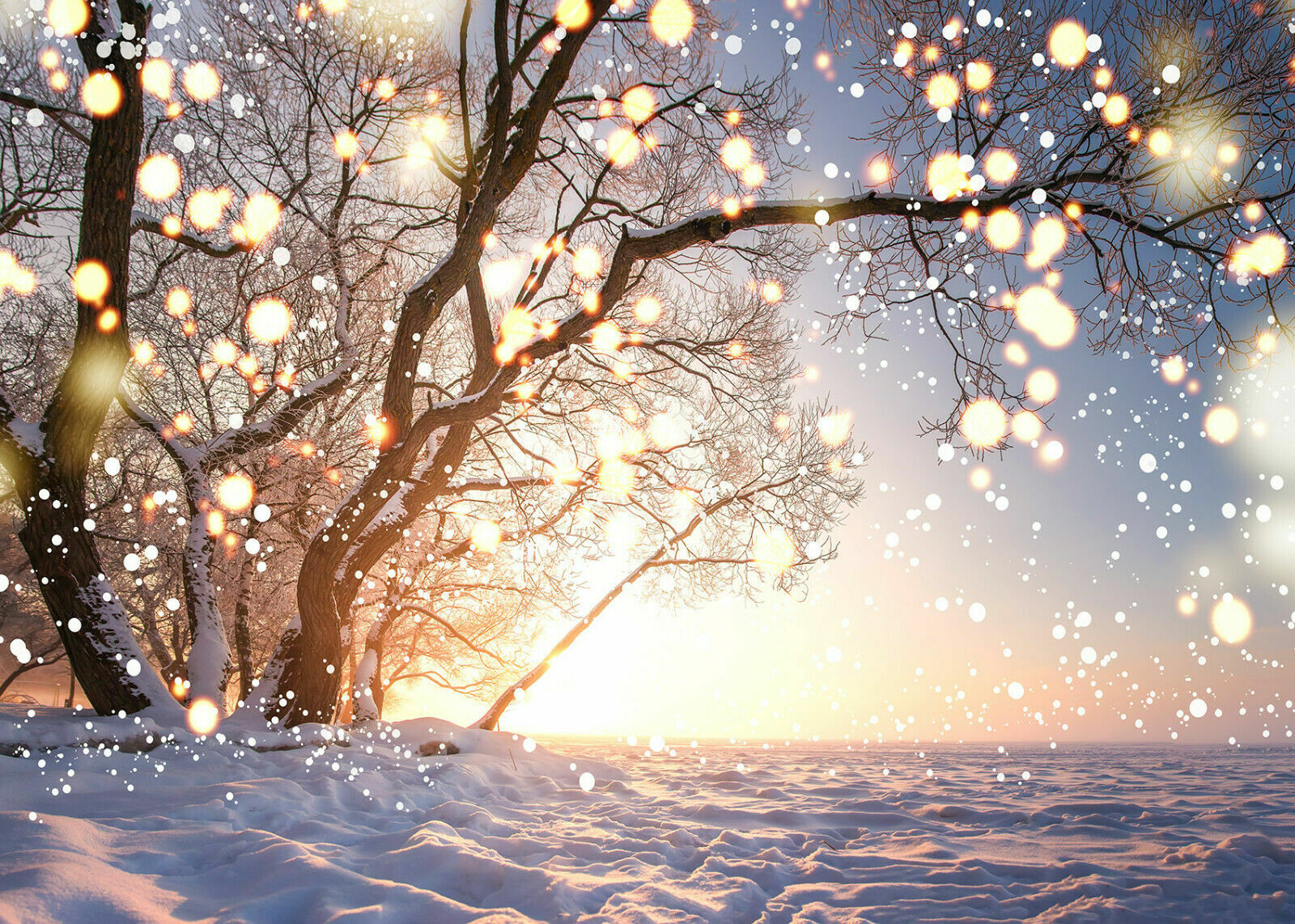 Christmas Backdrop Winter Snow Scene Nativity Photo Background Studio Props