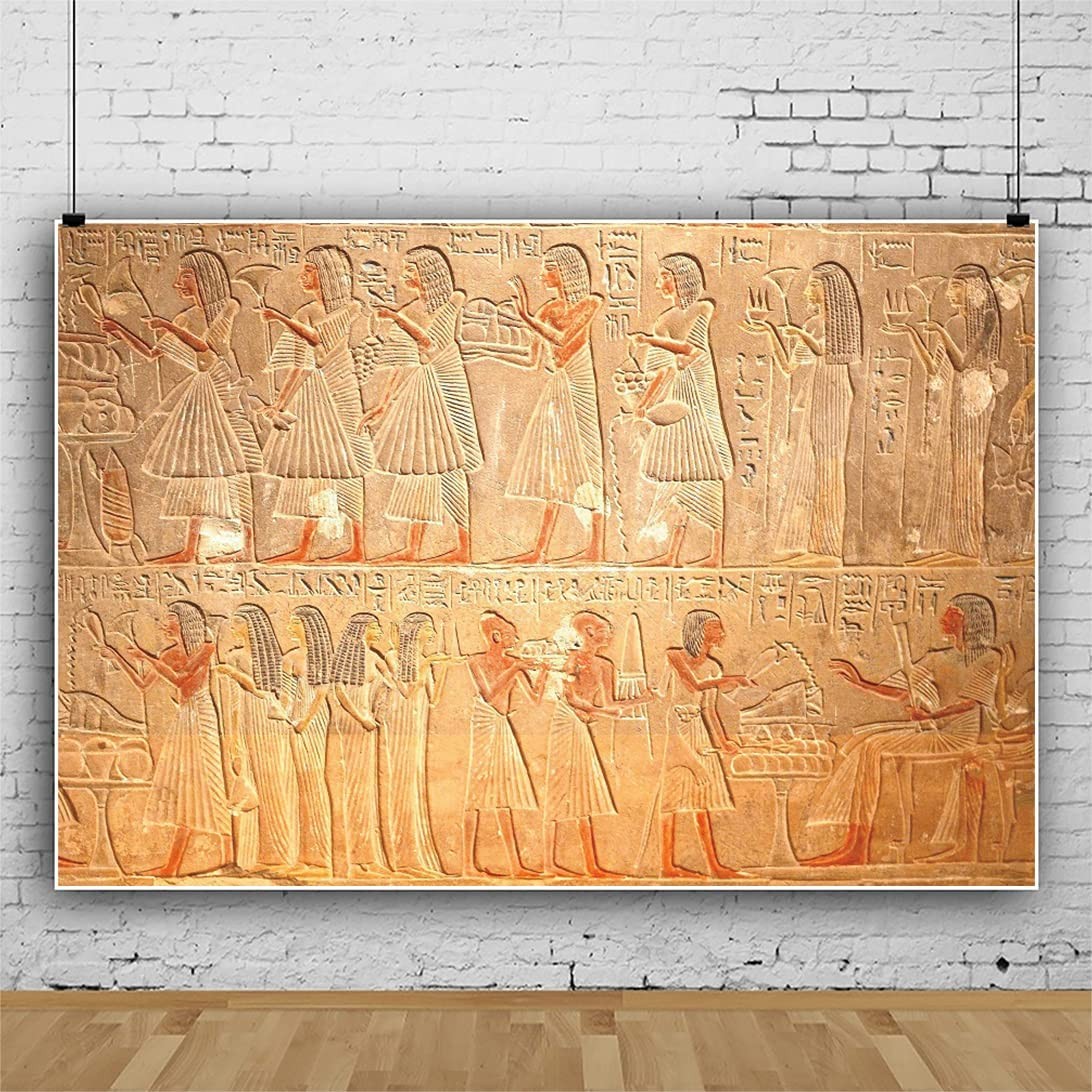 OERJU 10×6.5ft Old Egypt Hieroglyphs Photography Backdrop 10×6.5ft, Brown