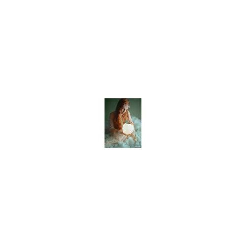 Westcott X Drop Wrinkle Resistant Backdrop 5 x 12 Feet (Light Moss Green)