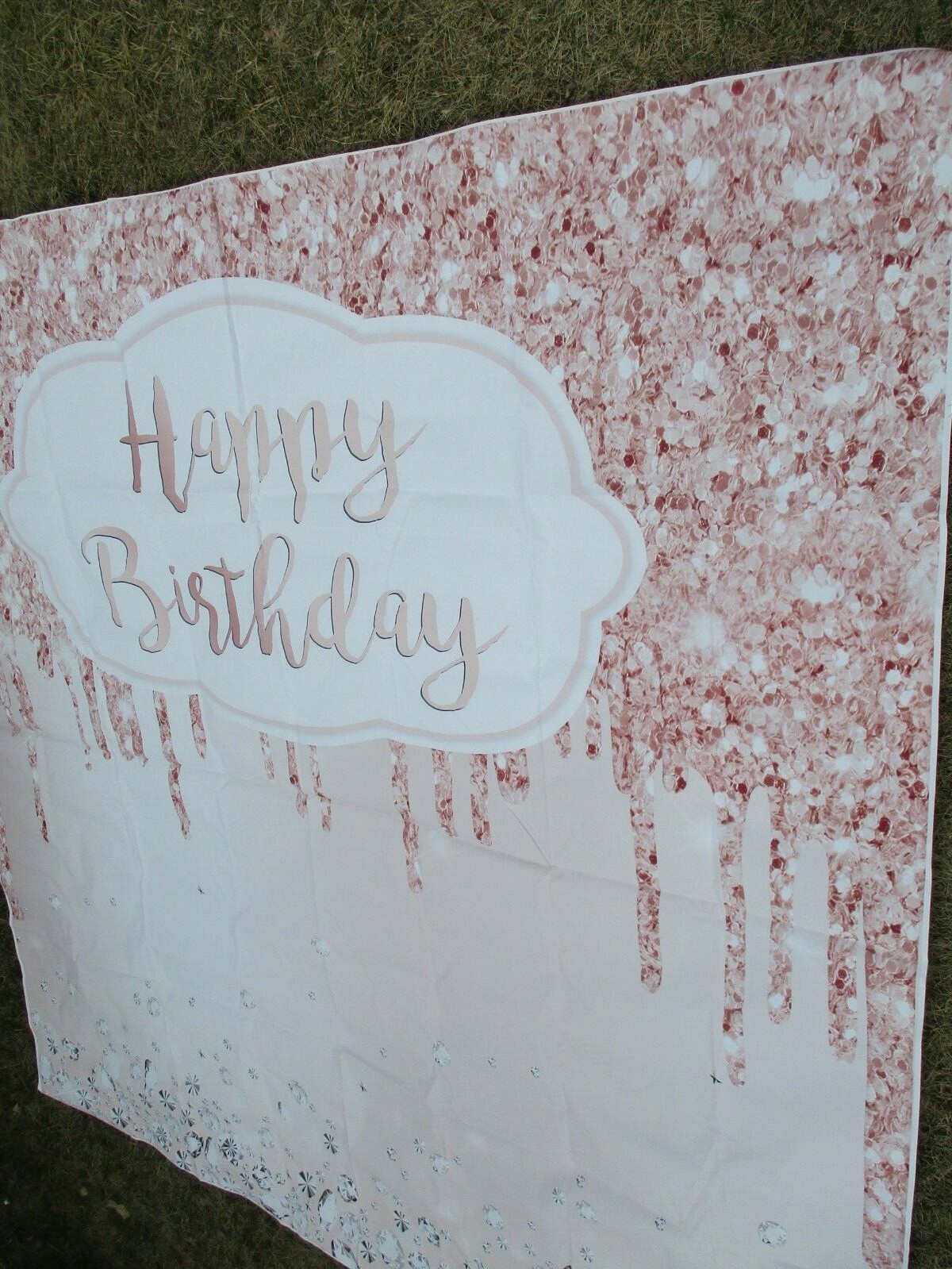 Birthday Photo Picture Backdrop Party Props Princess Girls Vinyl 8×8 ft