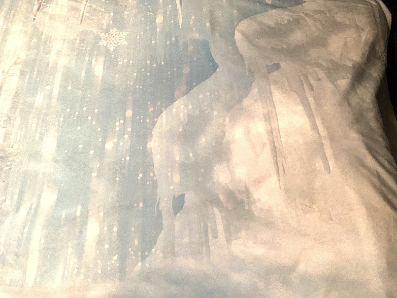 Disney Frozen Winter Christmas Photography Camera Photo Backdrop Background 7X5