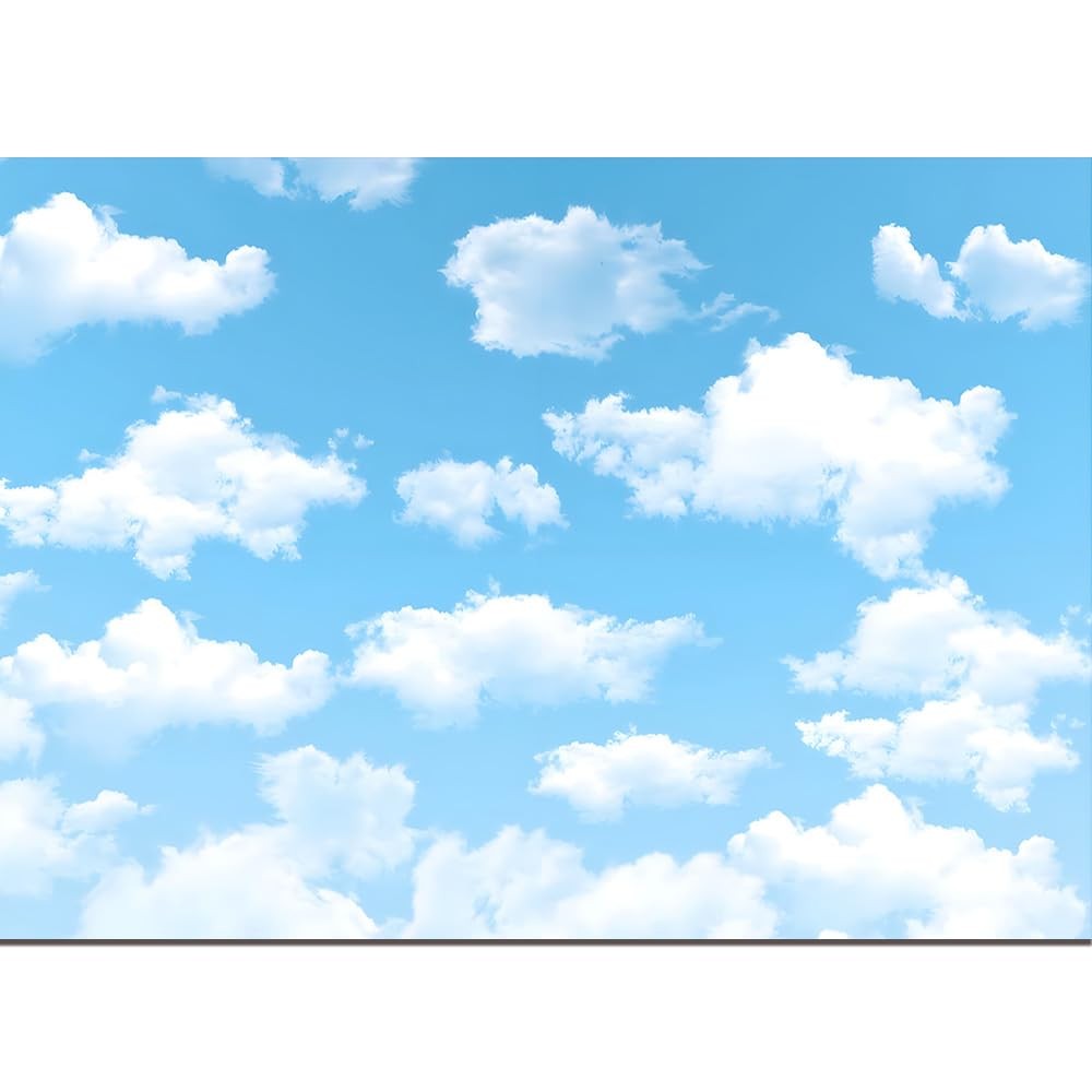 Qian 7x5ft Blue Sky White Clouds Backdrop Natural Scenery 7x5ft, blue