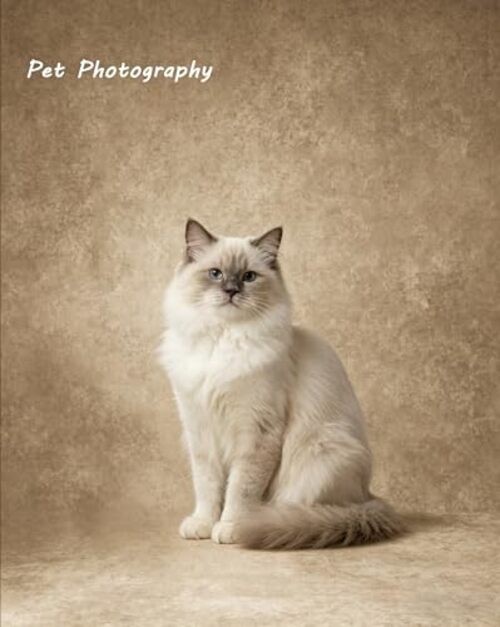 Beige Photo Backdrop,Classic Abstract Texture Photography 8x10ft Beige Textured