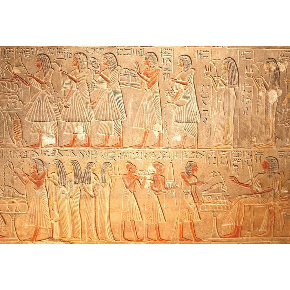 OERJU 10×6.5ft Old Egypt Hieroglyphs Photography Backdrop 10×6.5ft, Brown