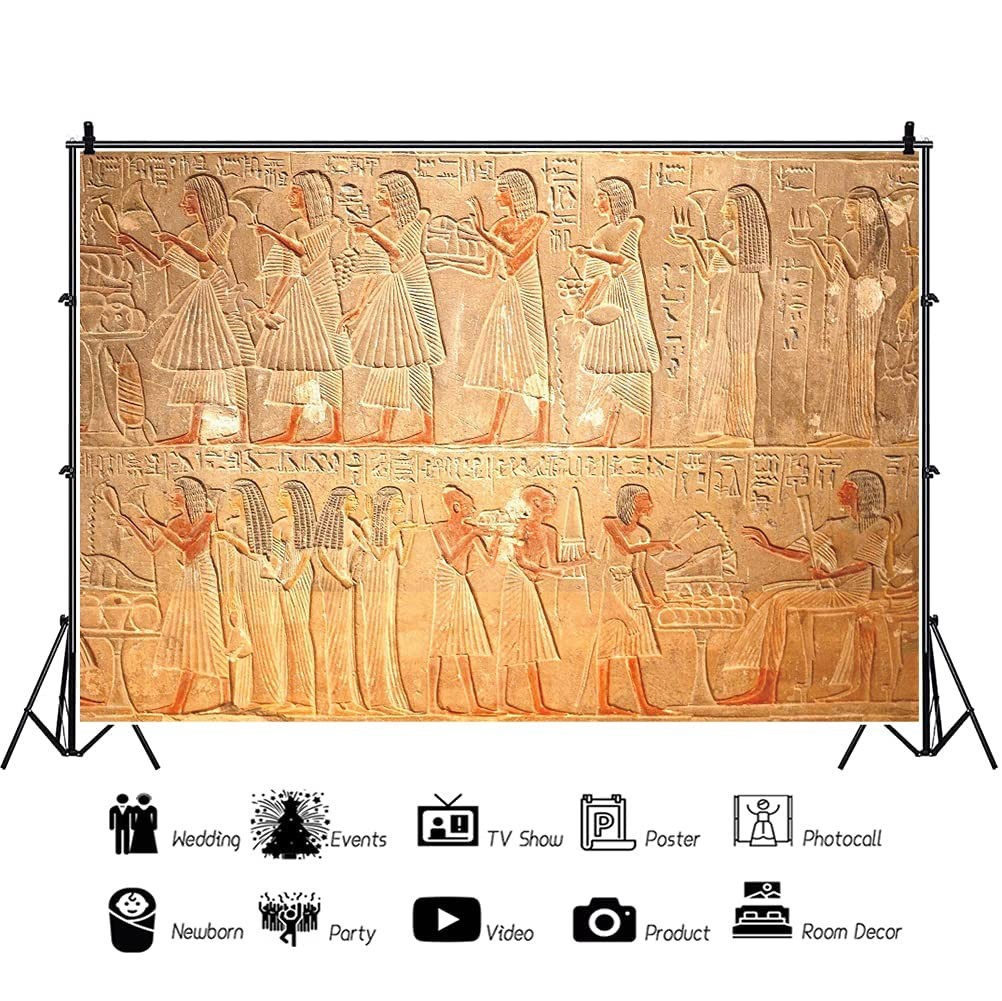 OERJU 10×6.5ft Old Egypt Hieroglyphs Photography Backdrop 10×6.5ft, Brown