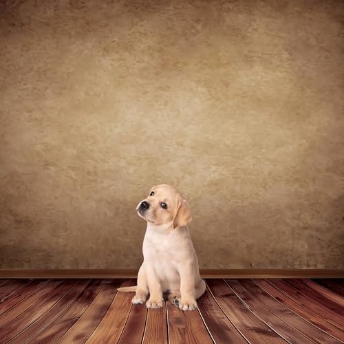 Brown Backdrop Rustic Wall Wooden Floor 5Wx7H Feet Soft Fabric 7x5ft B-Brown