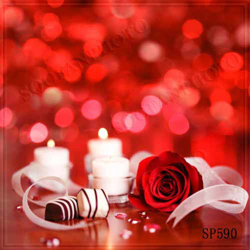 Valentine’s Day10’x10’Computer-painted (CP) Scenic background backdrop SP590B881