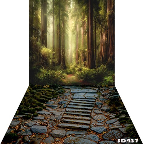 10’x20’CP Forest Stone Steps Scenic Microfiber Fabric background backdrop SD437