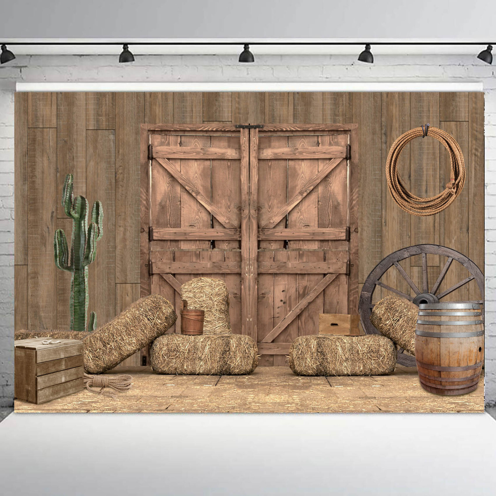 10x8ft Cactus Farmhouse Rustic Wood Barn Door Photo Background Studio Props