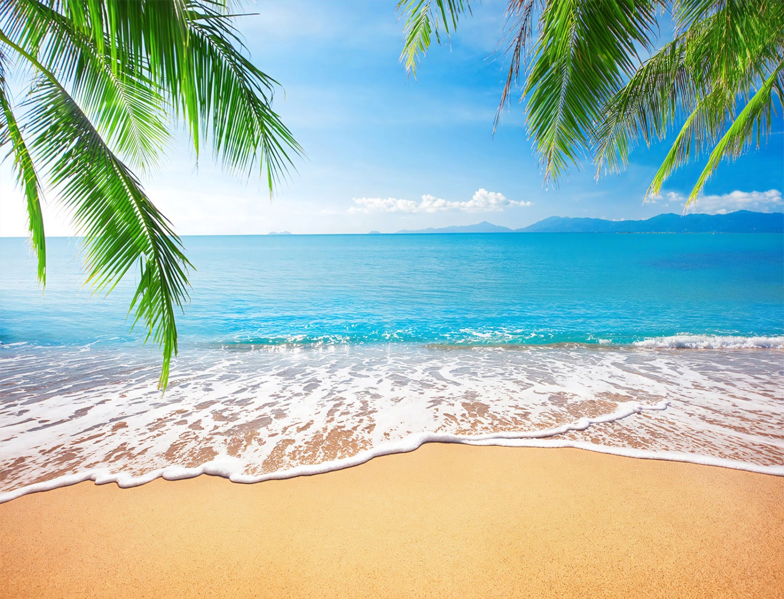 10x8ft Blue Ocean Beach Backdrop Tropical Palm Leaf Background for Photography