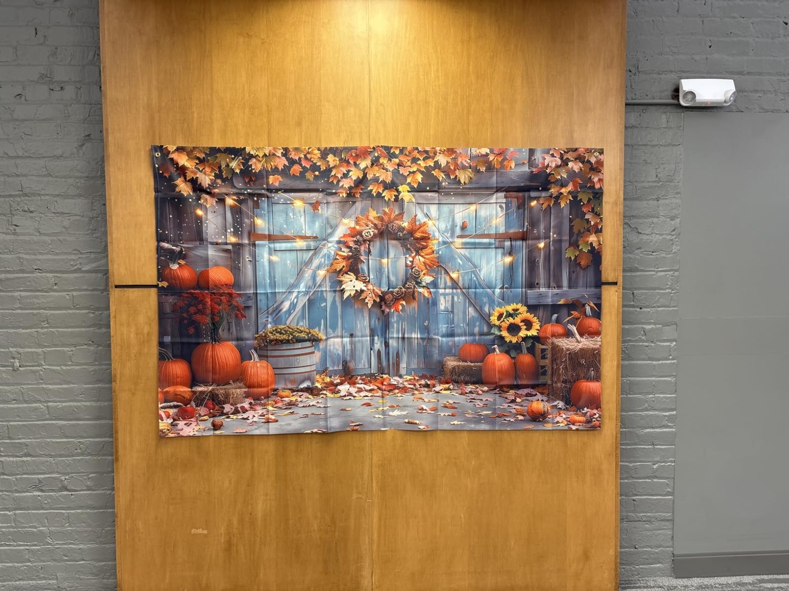 Fall Photography Backdrop Autumn Pumpkin Harvest M As Shown in The Picture