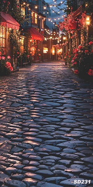 10’x20’CP Romanic Street Light Scene Microfiber Fabric background backdrop SD231