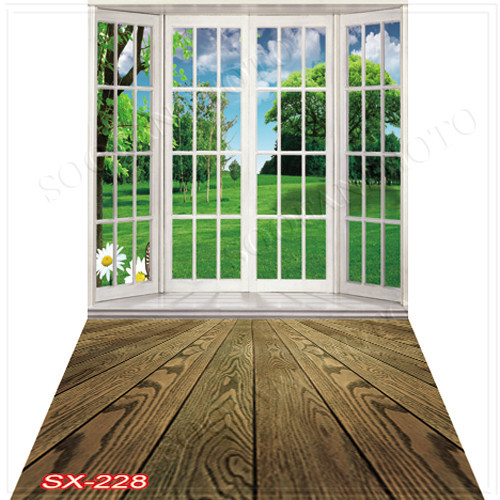 Indoor 10’x20’Computer/Digital Vinyl Scenic Photo Backdrop Background SX228B88