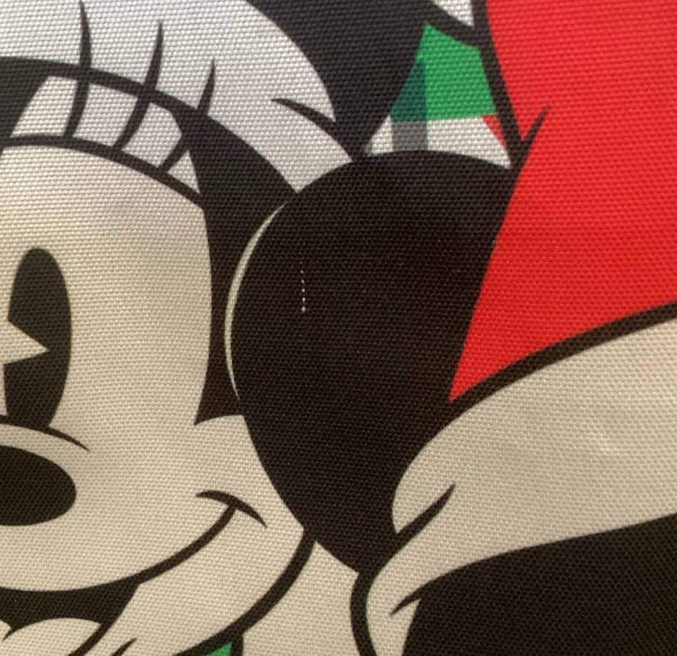 Disney Mickey & Minnie Mouse Sledding Outdoor Banner 15” x 47” Hang Banner Decor