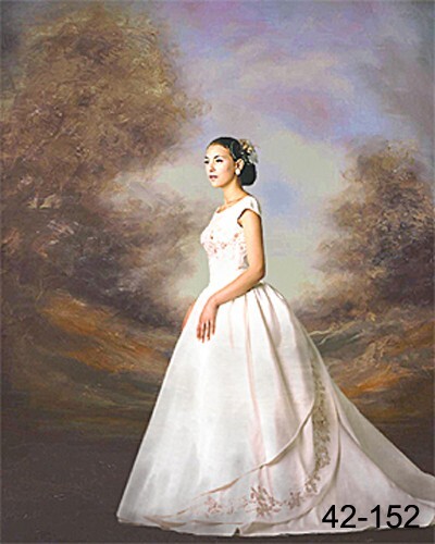 10*20 Ft Muslin 100% Airbrush Painted Romantic stormy sky Background 42-152