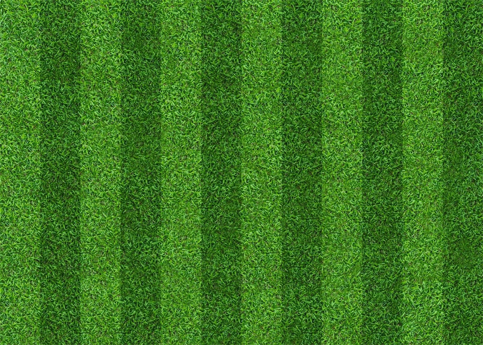 7x5ft Green Grass Field Backdrop Soccer Football Stadium Game Lawn Background…