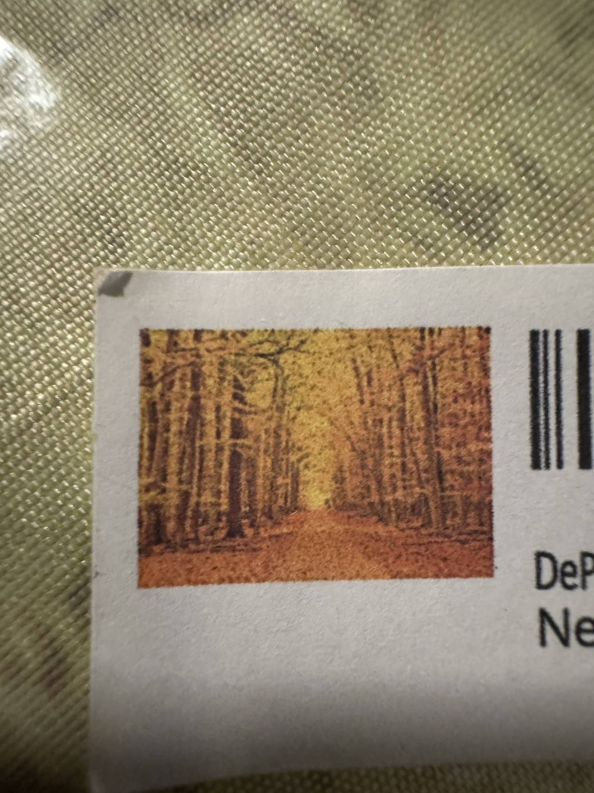 7x5Ft Fall Backdrop Autumn Background Photography Golden Maple Forest Path