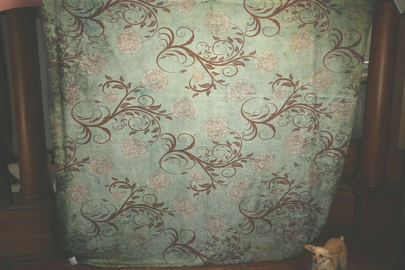 photography backdrop from Silverlake Backdrops 