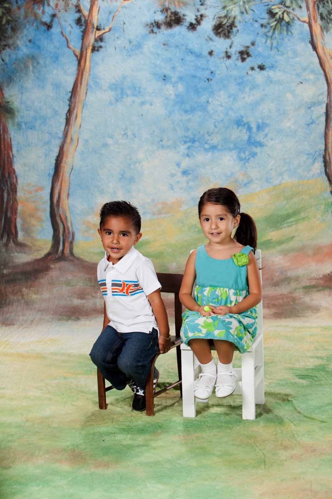 Hand painted summer forest hills scenic muslin 10×24 feet