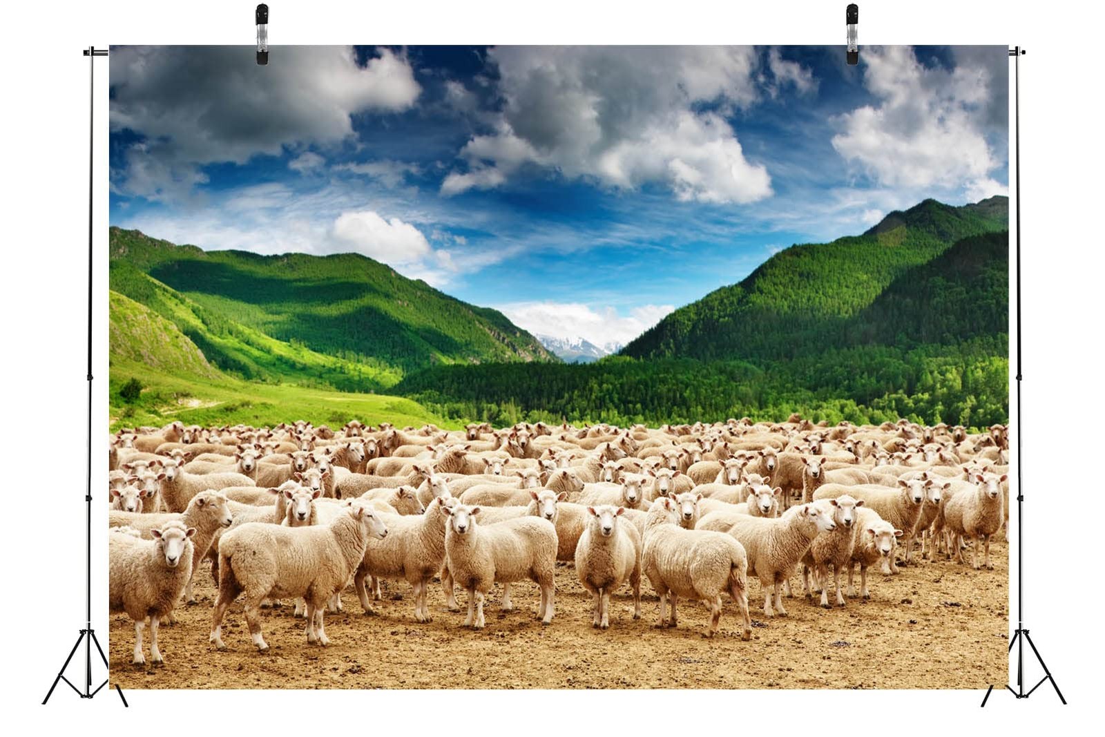 BELECO 7x5ft Fabric Rural Pasture Herd of Sheep Backdrop for 7x5FT, A13728