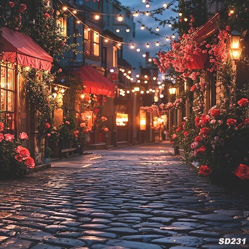 10’x10’Computer-painted Romanic Street Lighting Scenic Background Backdrop SD231