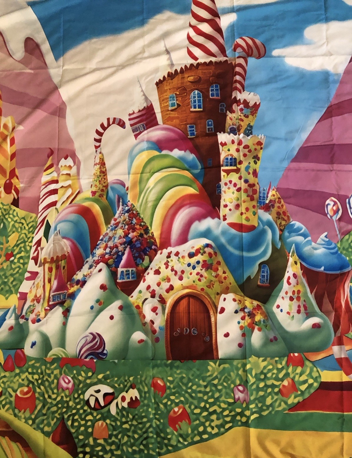 Candyland Backdrop Lollipop Sweetest Candy Theme Birthday Party 82 In x 58 In