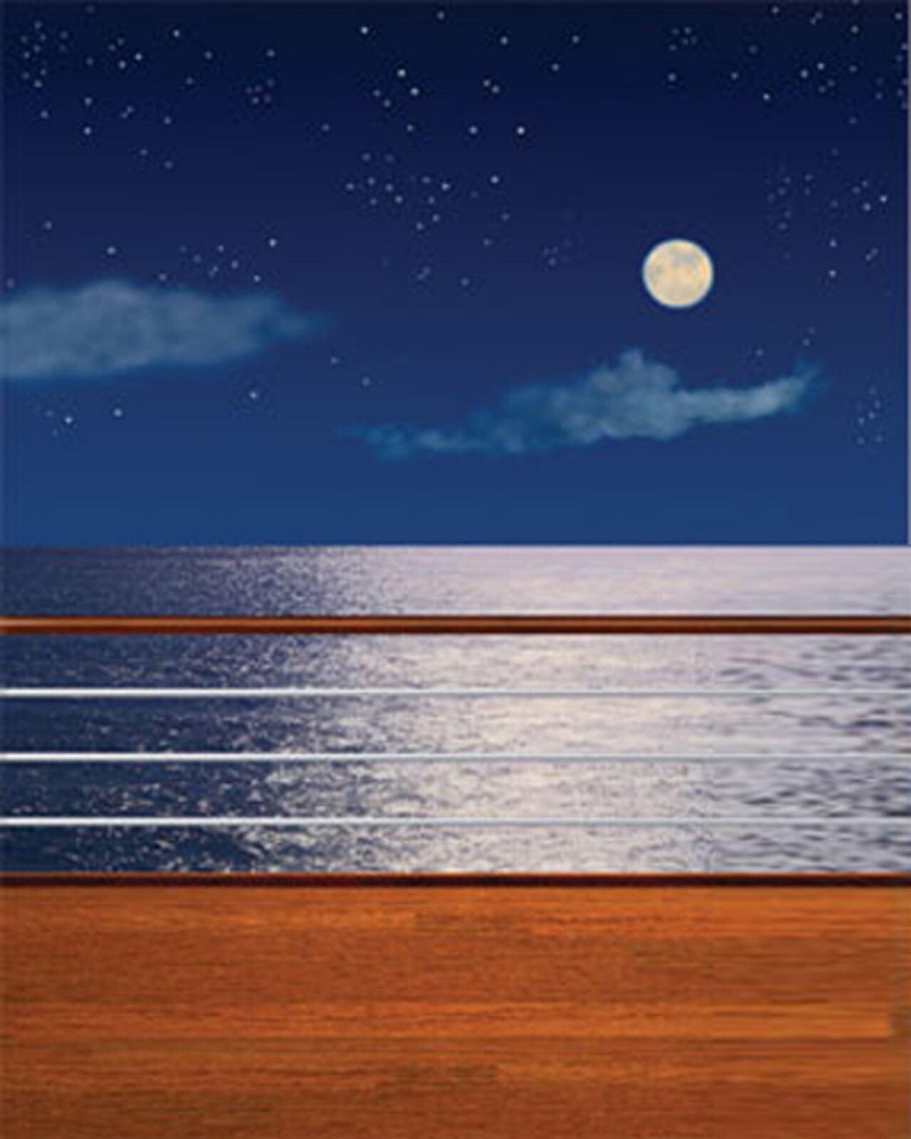10*20 Ft Muslin 100% Airbrush Painted Beach Photo Backdrop Background 41-004