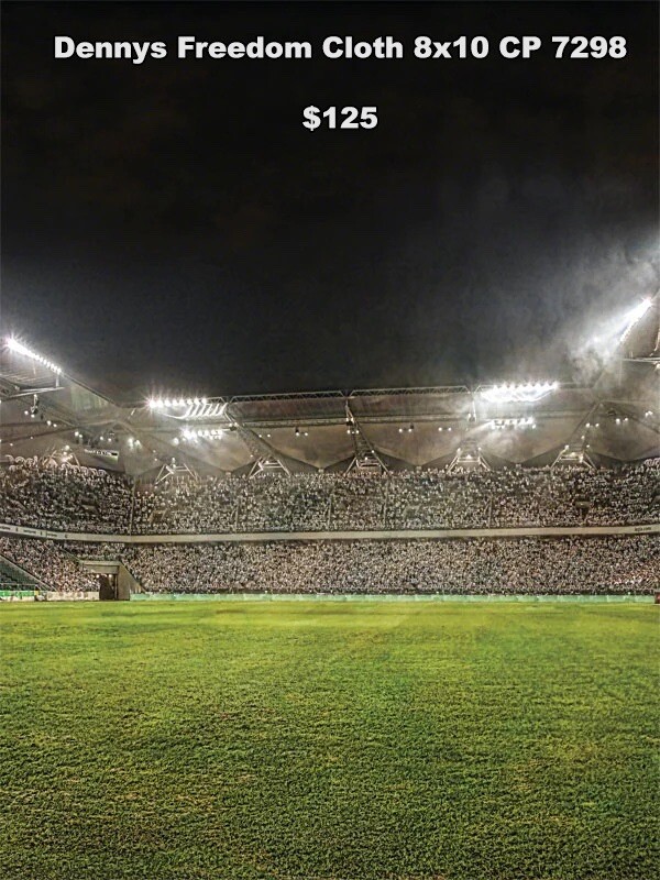 Denny’s Freedom Cloth Mfg CP 7298 Night Stadium Background Photo Shoot 8’x10’