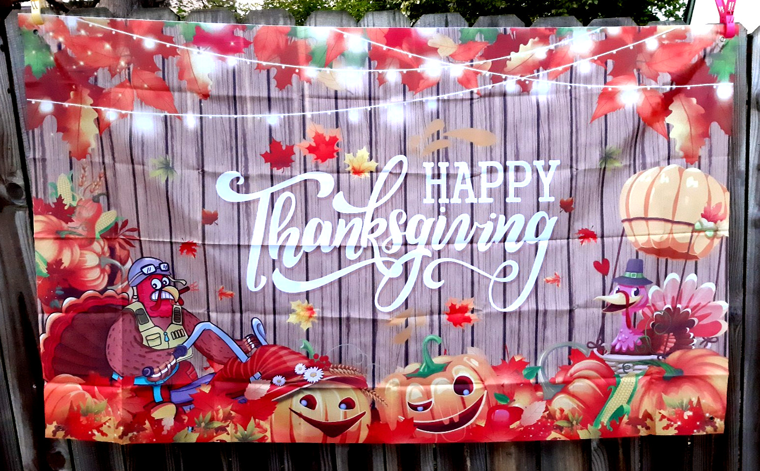 3.5 ft x 7 ft HAPPY THANKSGIVING Funny Turkey, Barnwood Lights Backdrop Banner