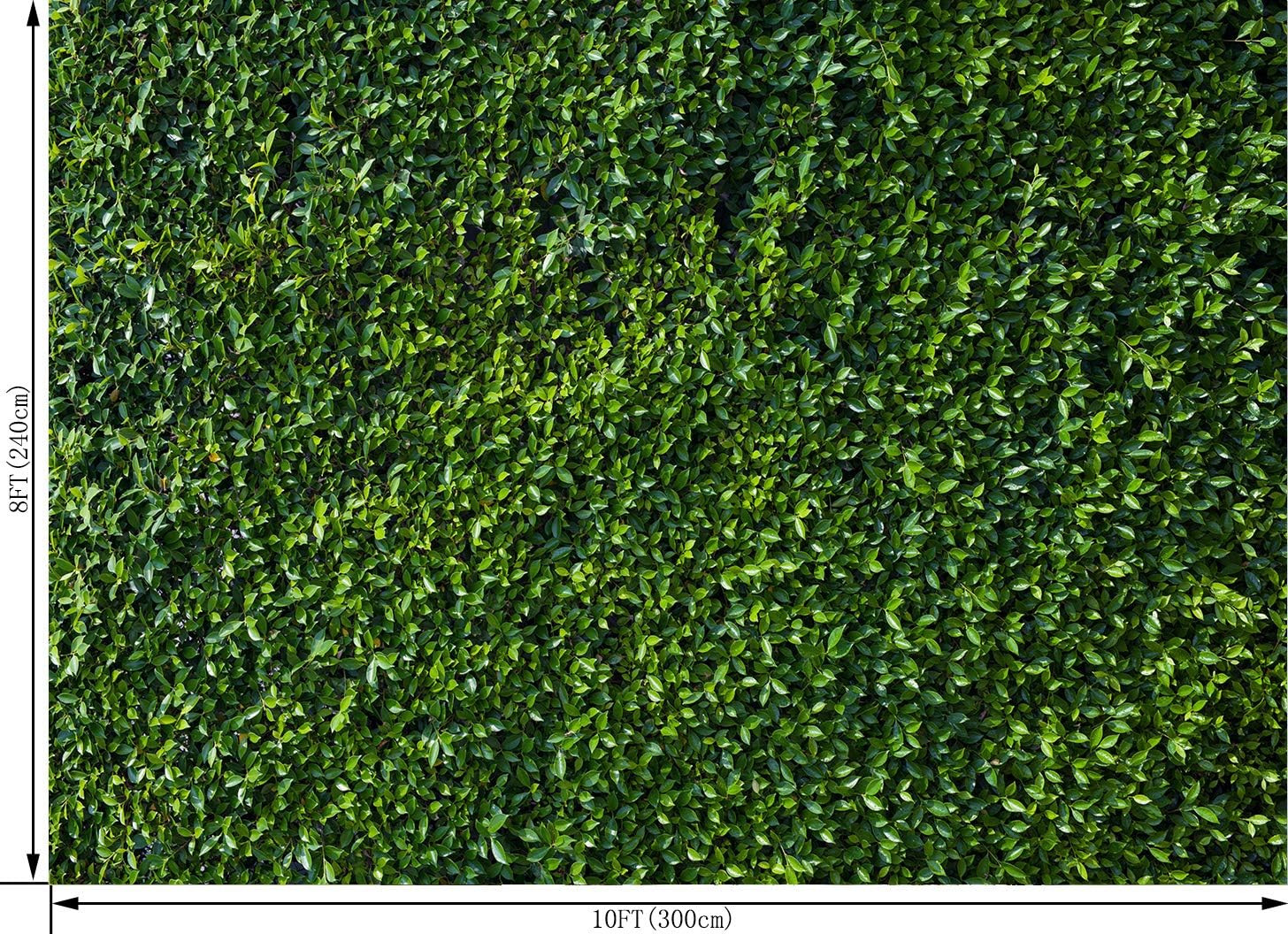 10X8FT Green Leaves Photography Backdrops Leaf Green Vertical Texture Backdrop B