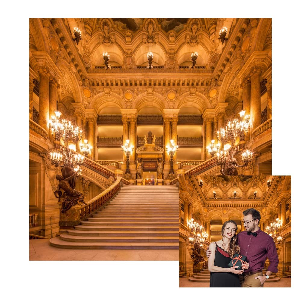Renaiss 6x6ft Gold Luxurious Palace Backdrop for 6x6ft, WSNBK04835