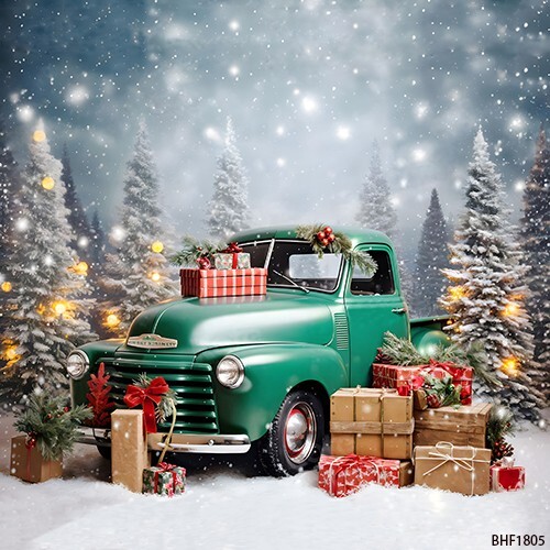10’x10′ CP Christmas Season Scenic Microfiber Fabric background backdrop BHF1805