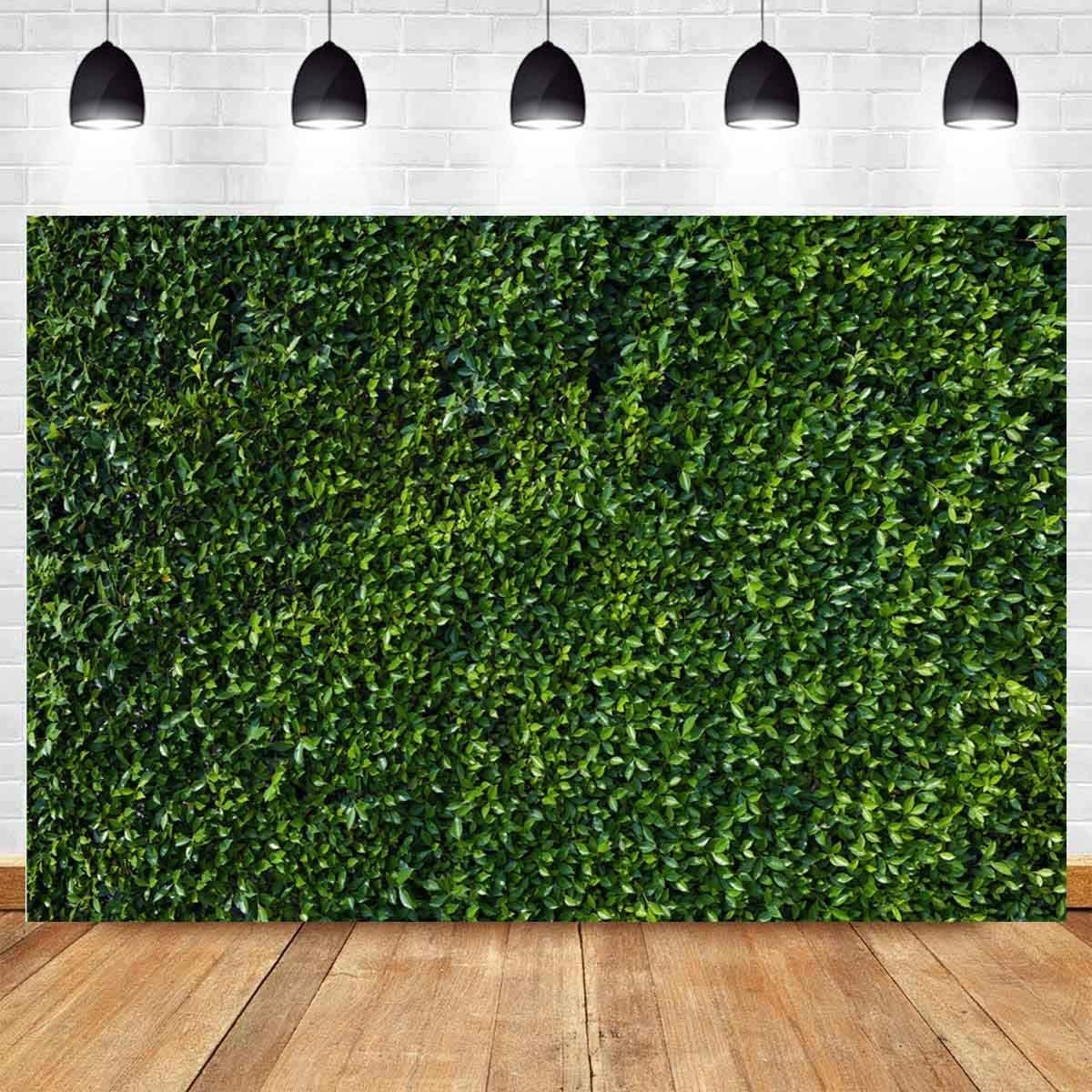9x6FT Vinyl Natural Green Leaves Grass Picture Photography Backdrop for Sprin…