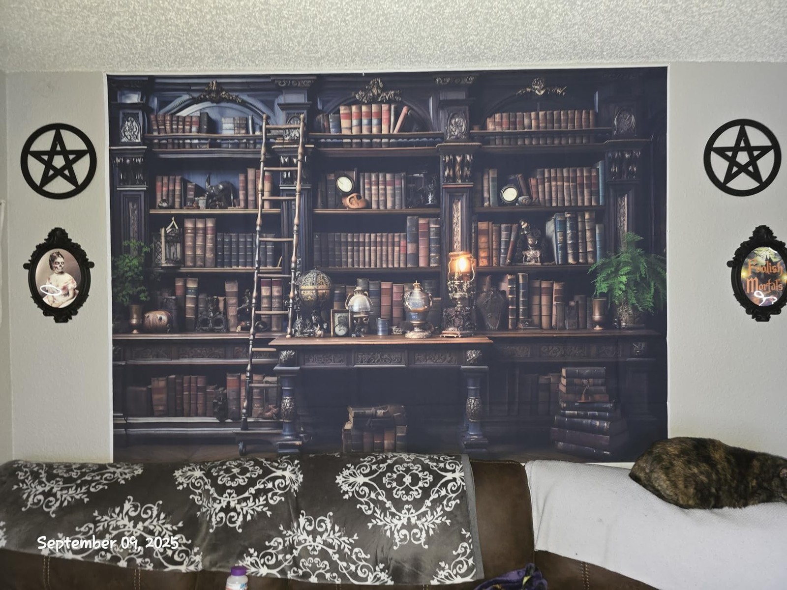 BINQOO Medieval Bookshelf Backdrop Bookcase Photography 7x5FT, Black