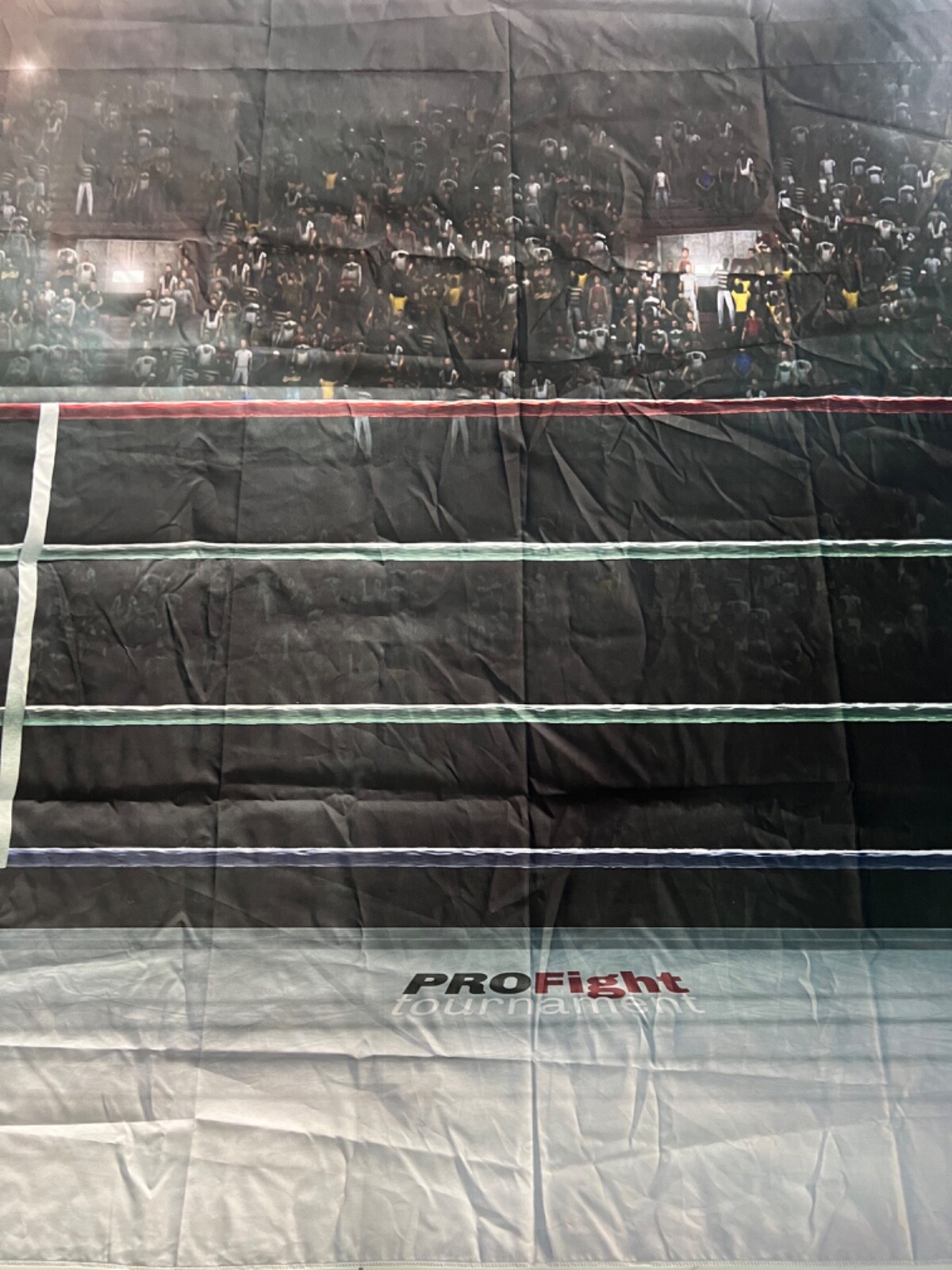Photo Backdrop Pro Boxing Arena Sports Fight Tour 59″x81″ Party Balloon Backdrop