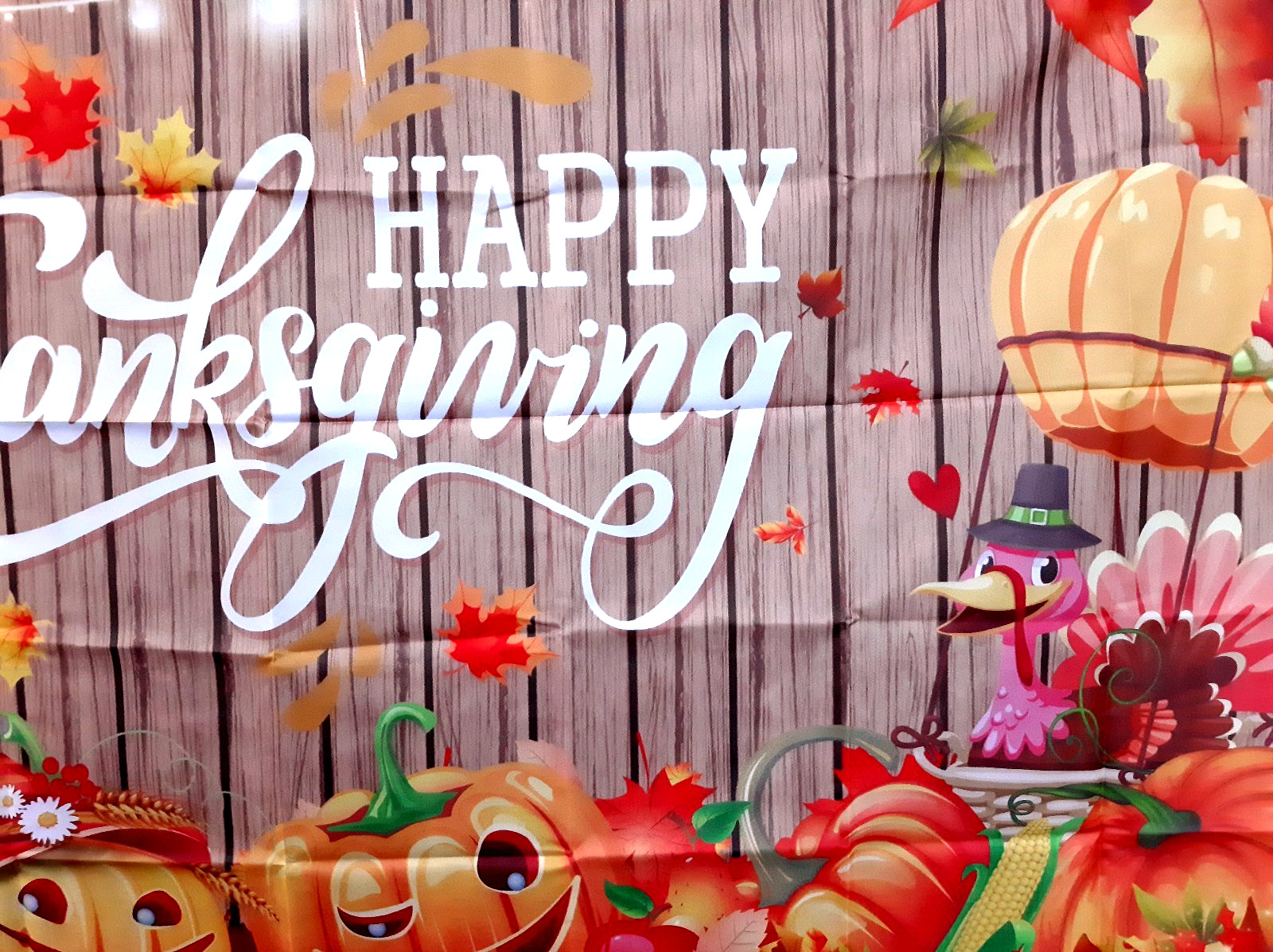 3.5 ft x 7 ft HAPPY THANKSGIVING Funny Turkey, Barnwood Lights Backdrop Banner