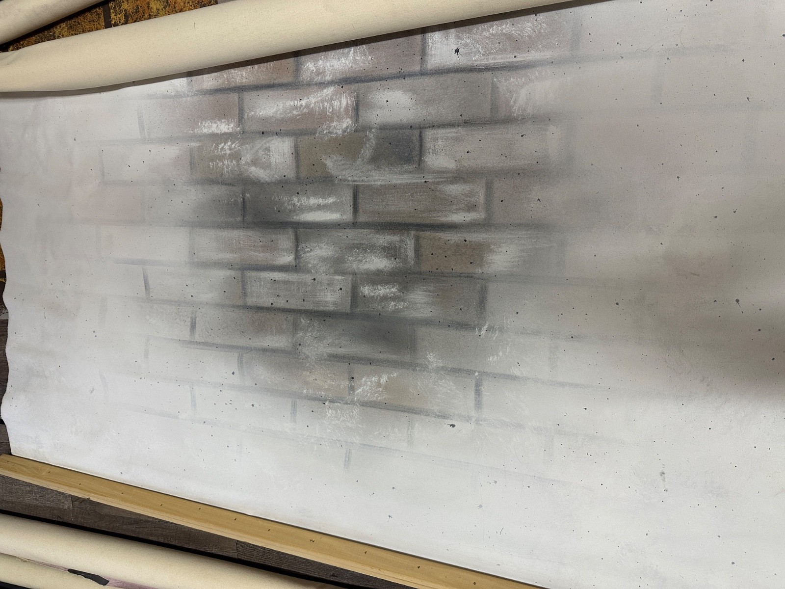 Ten Canvas Photo Studio Backdrops for One Price