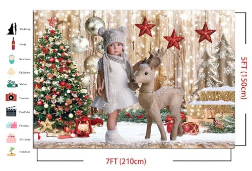 7x5Ft Christmas Backdrops for Photography Winter Snow Backdrop Rustic 7x5ft