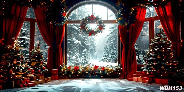 20’x10’CP Xmas Window Snow Scenic Microfiber Fabric background backdrop WBH153